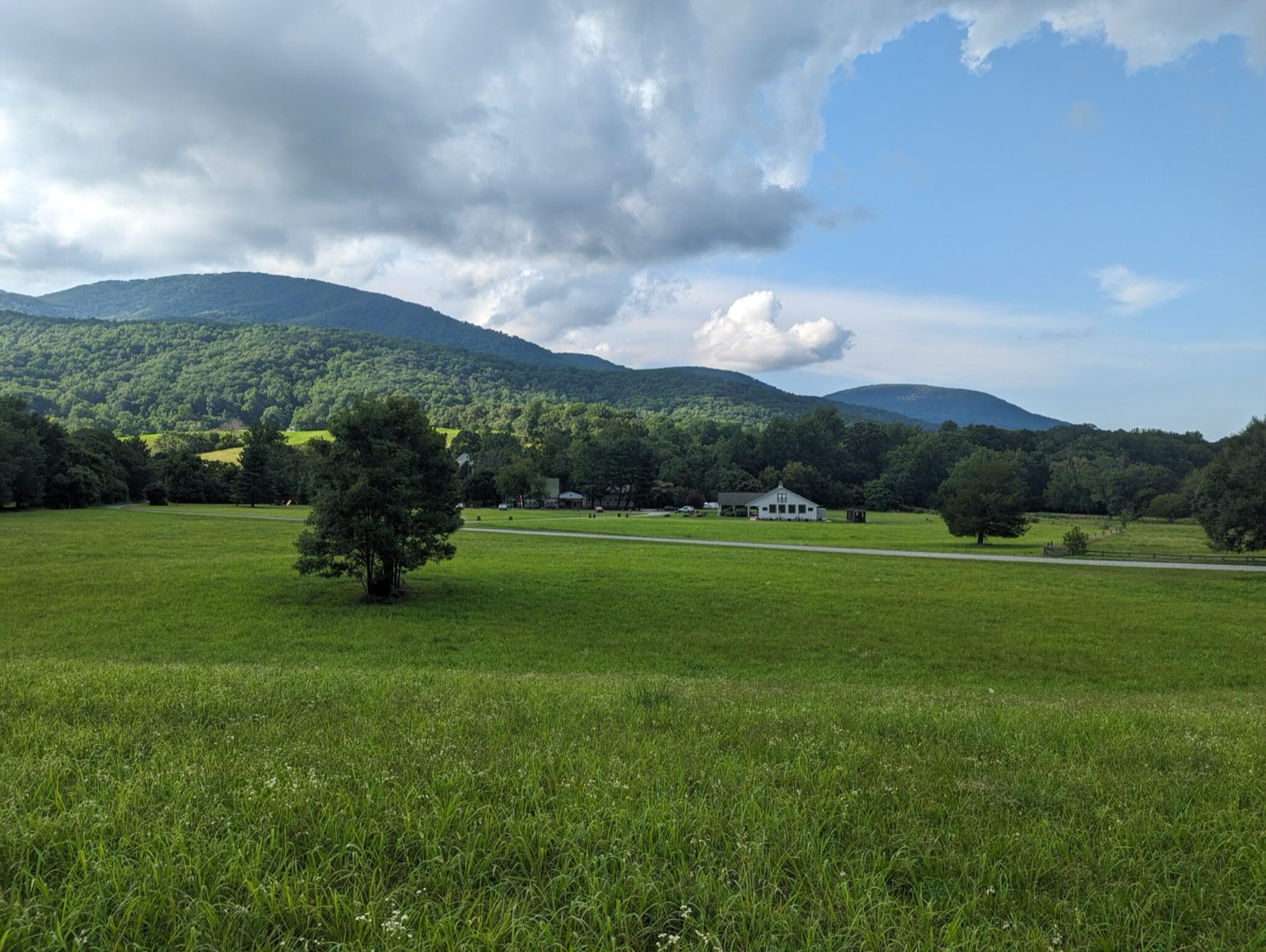Picnic tables scattered across the Blue Toad farm meadow at the foot of Wintergreen, the Blue Ridge Mountains rising behind